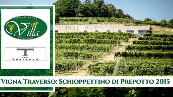 schioppettino-di-prepotto-2015-vino-premiato-colli-orientali-vigna-traverso-ristorante-in-villa-udine